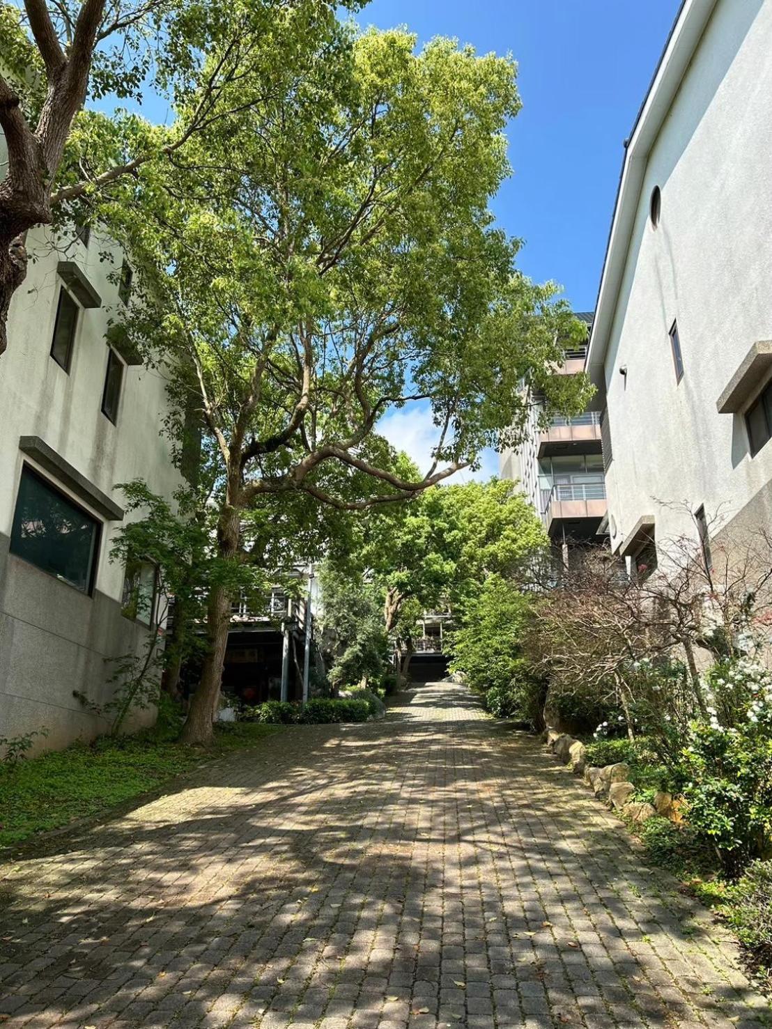 Miaoli Sanyi Travelling Homestay Εξωτερικό φωτογραφία